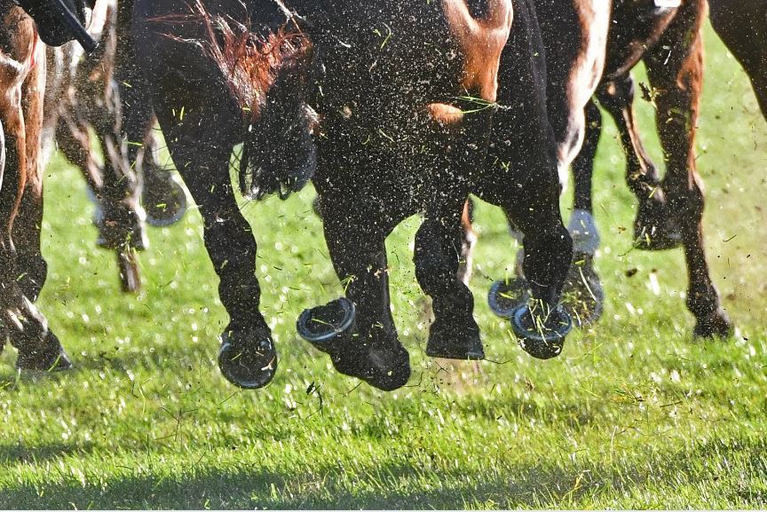 競馬 ボックスとは