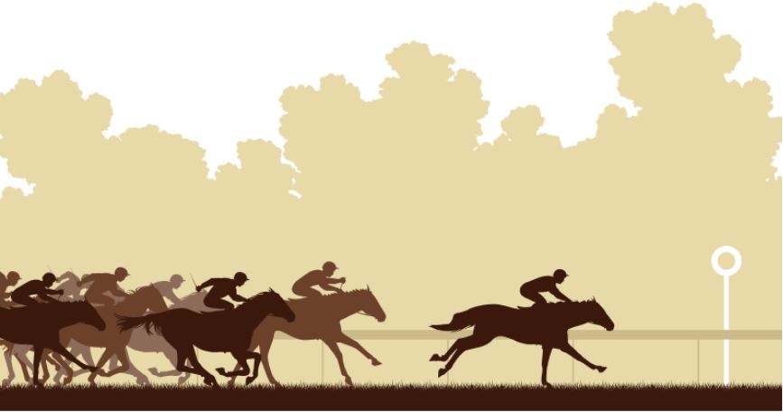 競馬血統